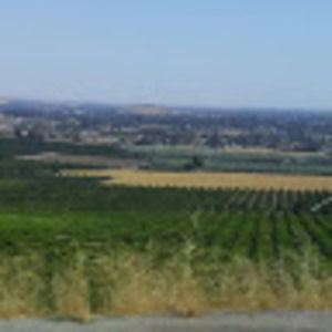 Meet your Posher, Jesus